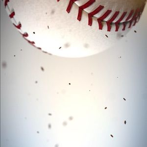 Meet your Posher, Lola